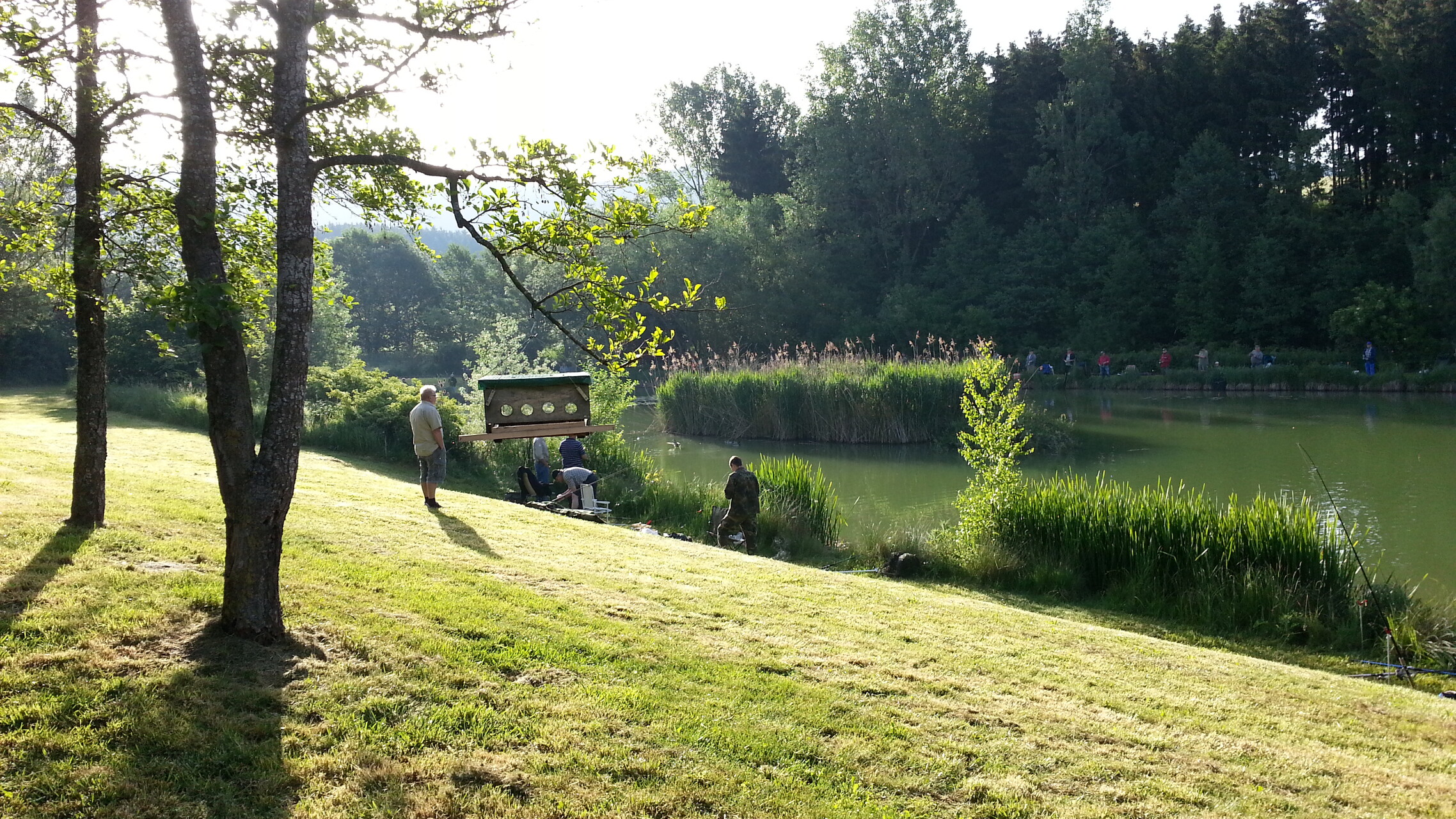 Galeriebild: 20140608 071936